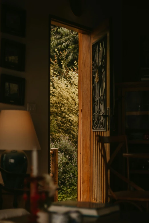 the view out the window of the door into a forest