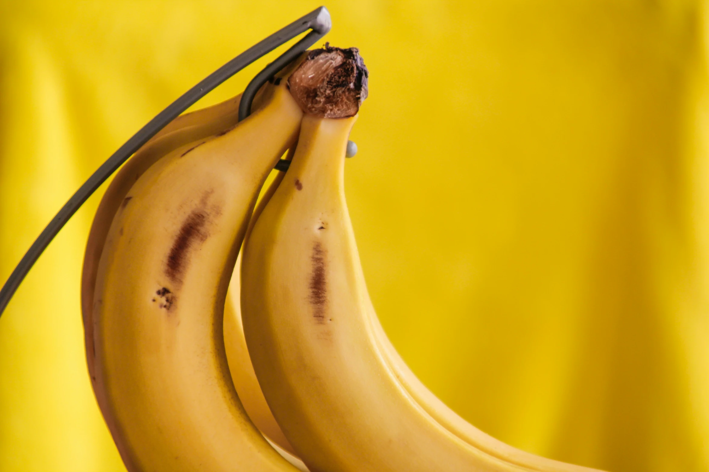 three bananas that are in a banana peel