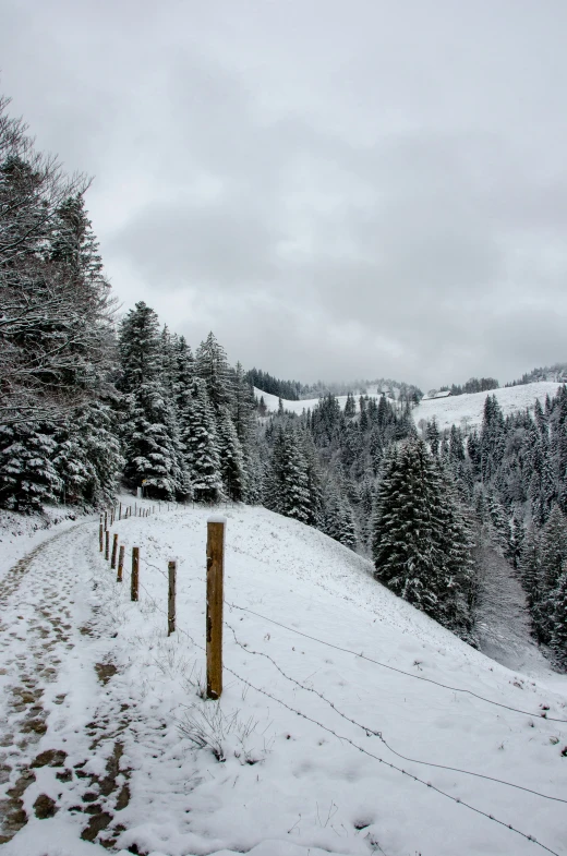 the view of snow covered hills and trees