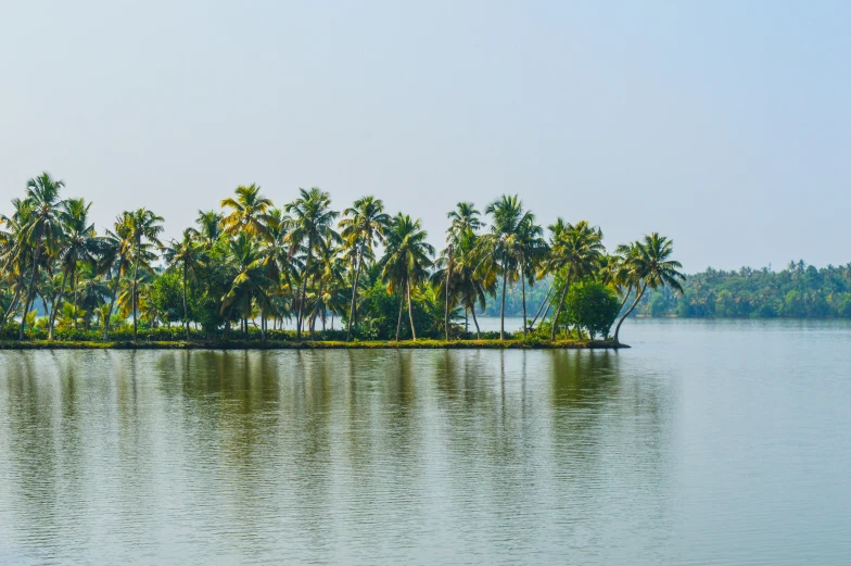 a lake with palm trees and no boats