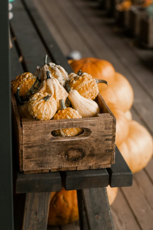 pumpkins on the ground in an old wooden crate