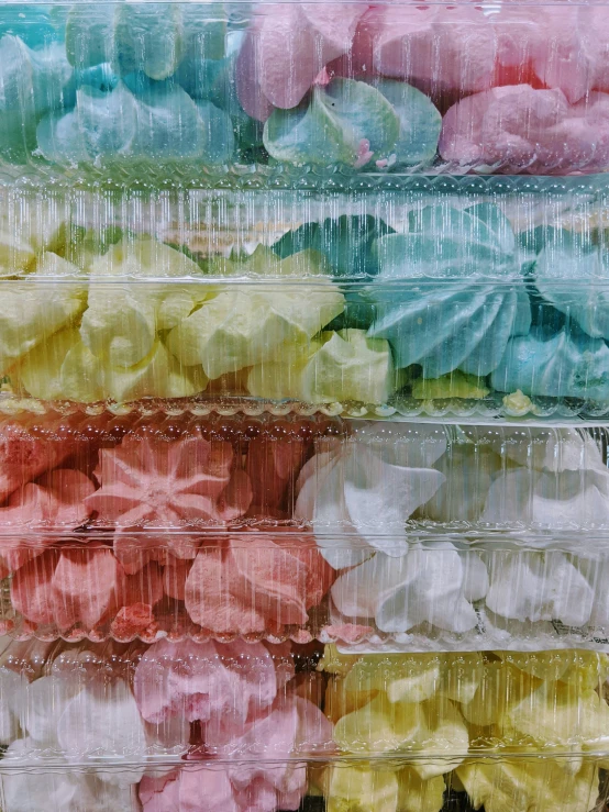 a store display of flower buds for sale