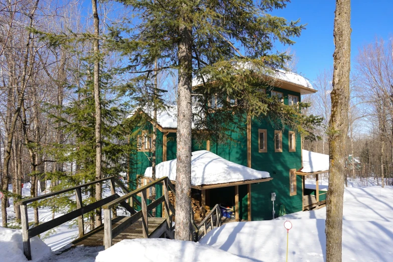 a wooden house in the woods on a sunny day