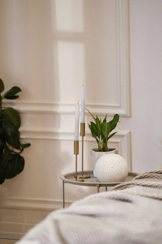 a table with two candles and a plant in it