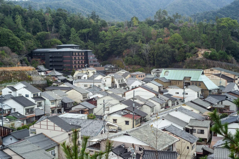 many houses in the countryside surrounded by trees