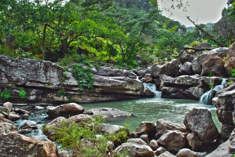 a stream running between many large rocks with trees behind it