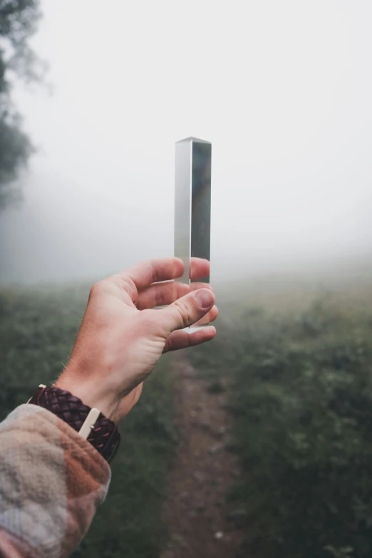 two hands holding a tiny rectangular object with an insect in it