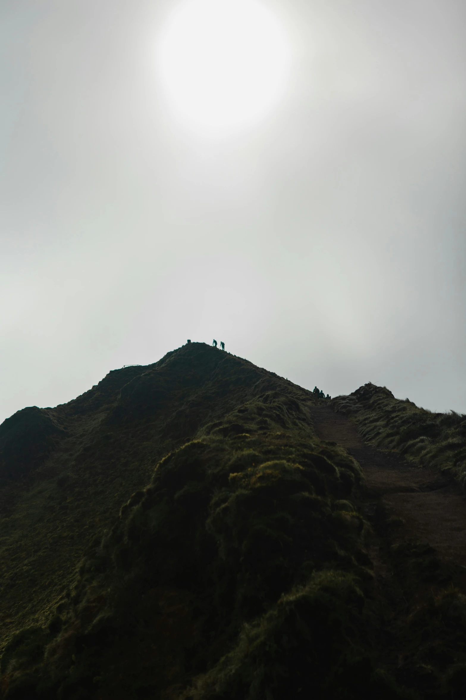 a person is standing at the top of a hill