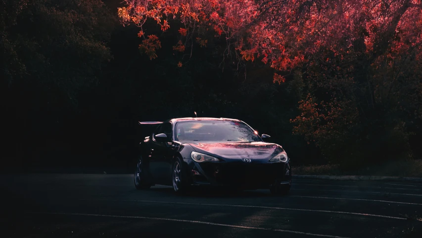 a car parked on the street, near trees