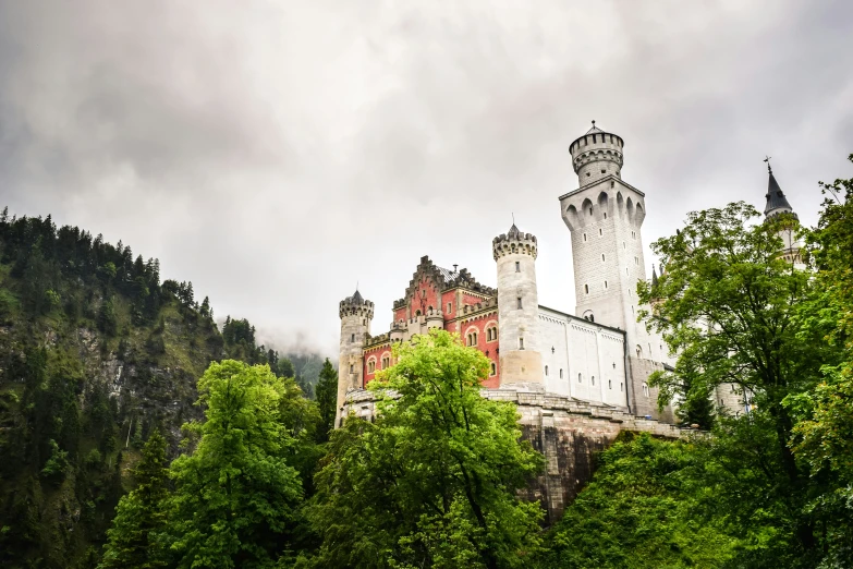 castle surrounded by a large green forest