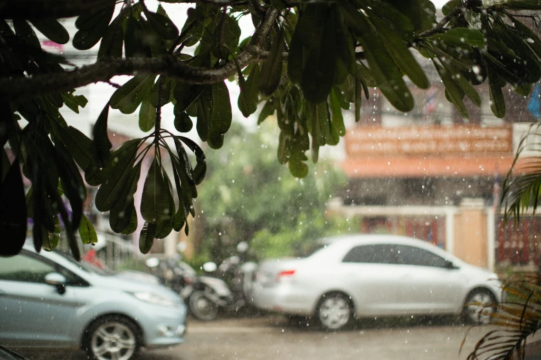 some cars parked outside on a wet street