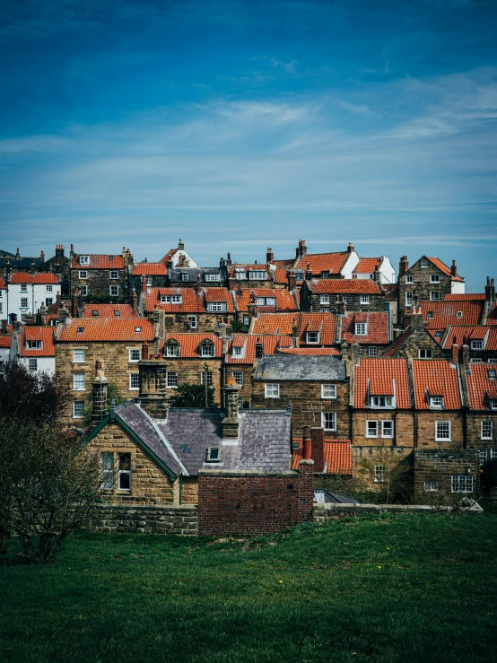 an image of some very red roofs in a village