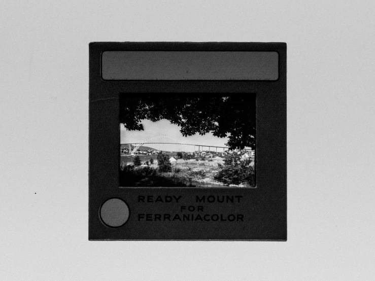 a framed pograph of a park near a tree