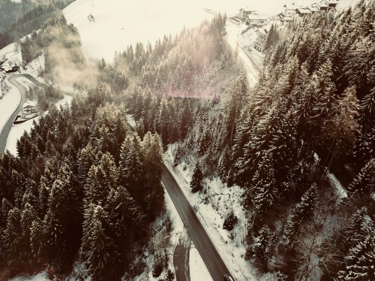 aerial view of a road through the forest