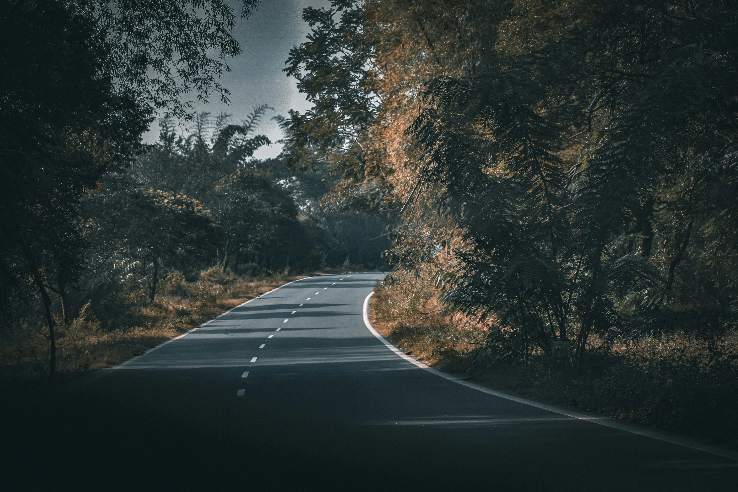 the highway is lined with some trees and bushes