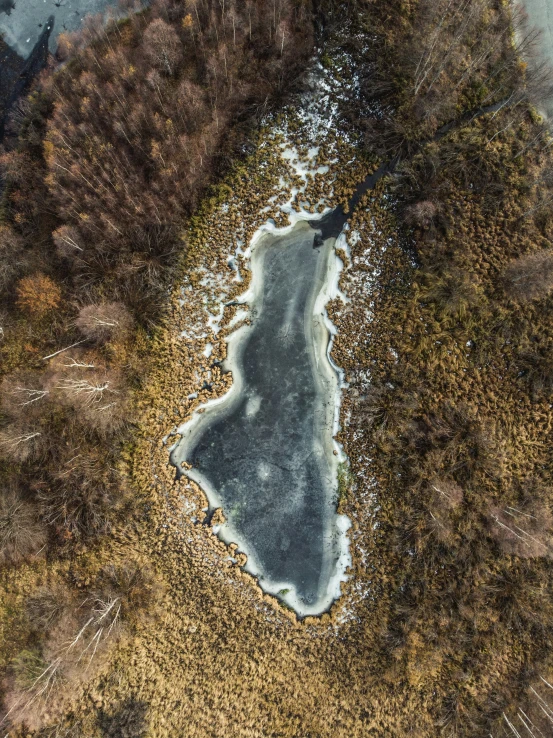 an overhead po of a pond in the woods