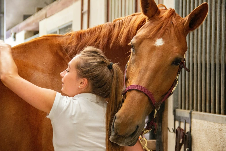 a woman standing next to a brown horse