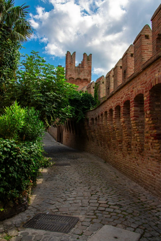 an alley between two brick walls and plants