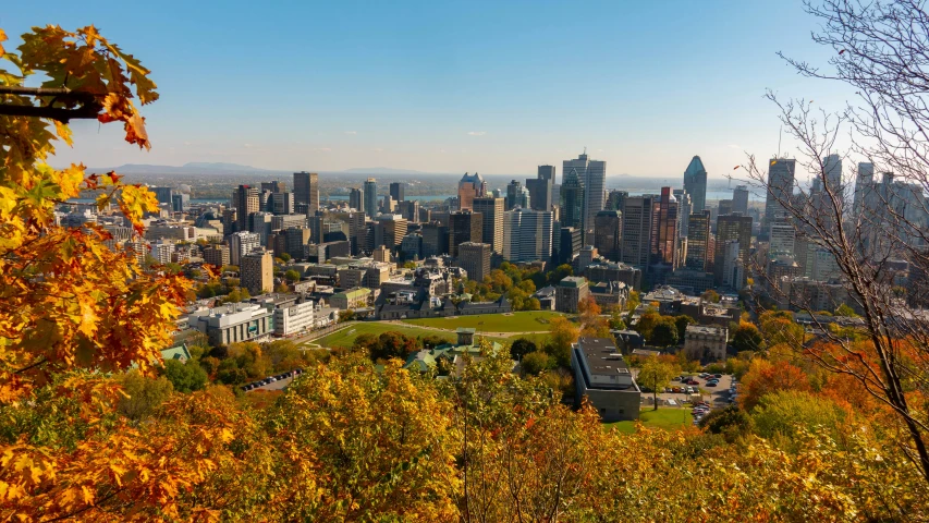 a view of the city and its many streets during autumn