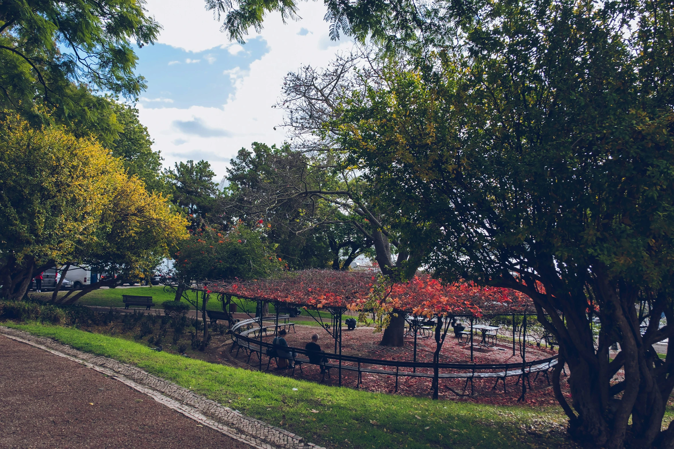 a park filled with trees and grass under a blue sky