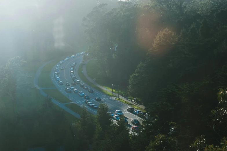 fog and sunlight light up cars along a road