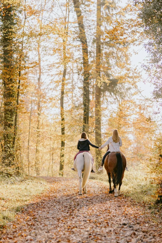 two woman riding horses along a leaf covered path