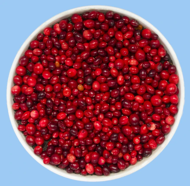 red berries are piled up in a large white bowl