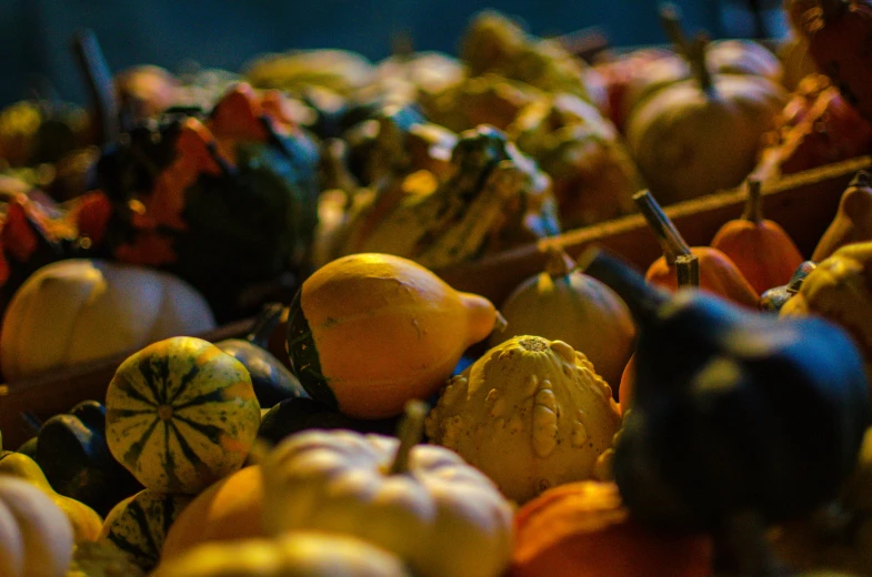 there is a pile of many oranges with yellow and blue highlights