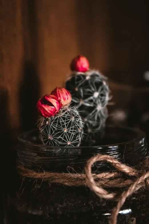 a small cactus has been placed on a jar