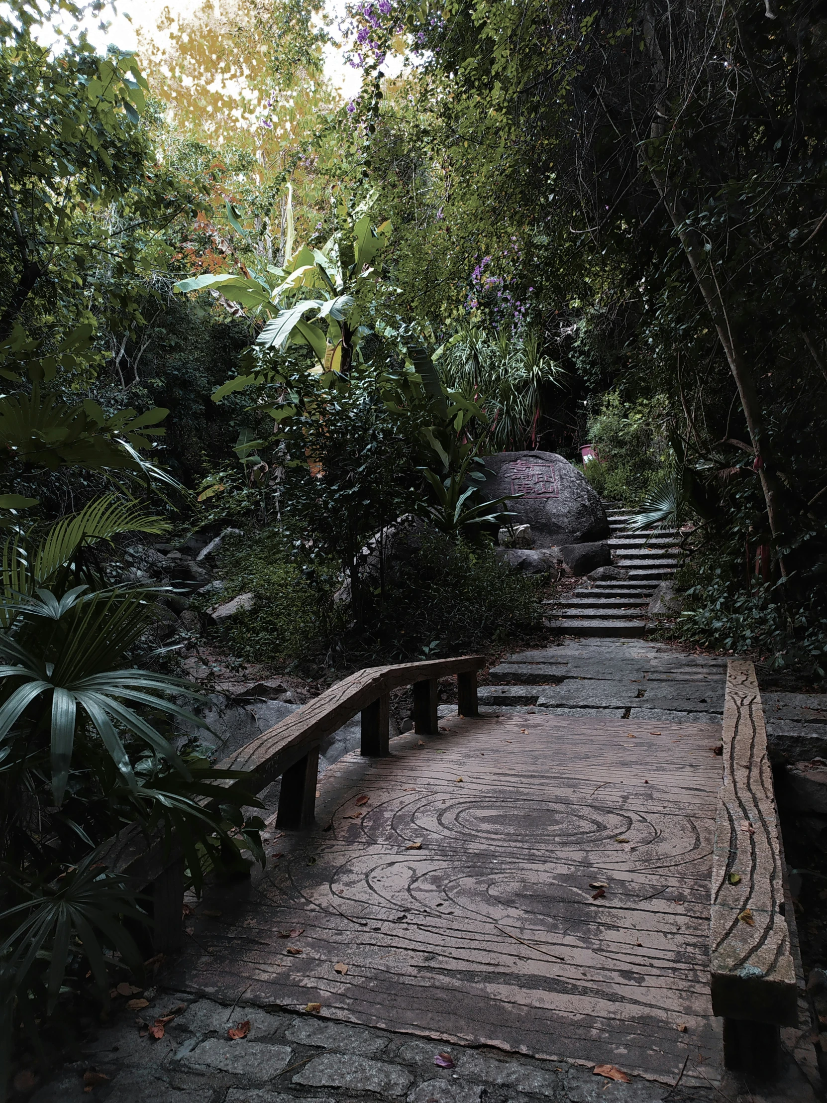 stairs in a dense forest surrounded by vegetation