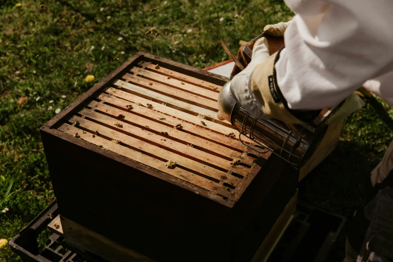 a beekeeper putting a hive on top of a beehive