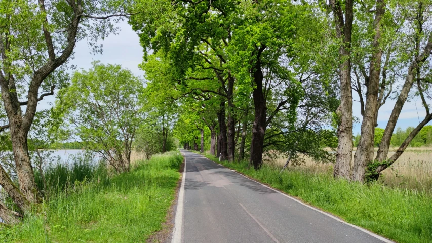 a road running through a lush green countryside