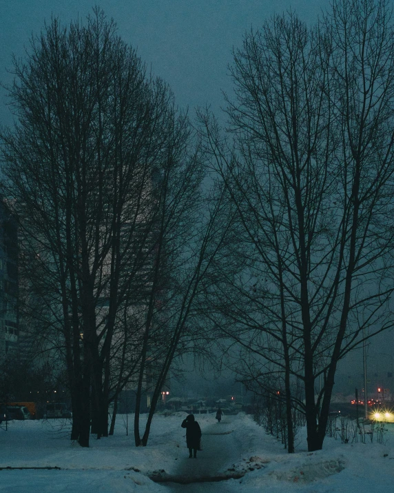 a person standing in the snow near some trees