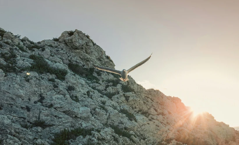 an airplane flies low over the rocky mountain