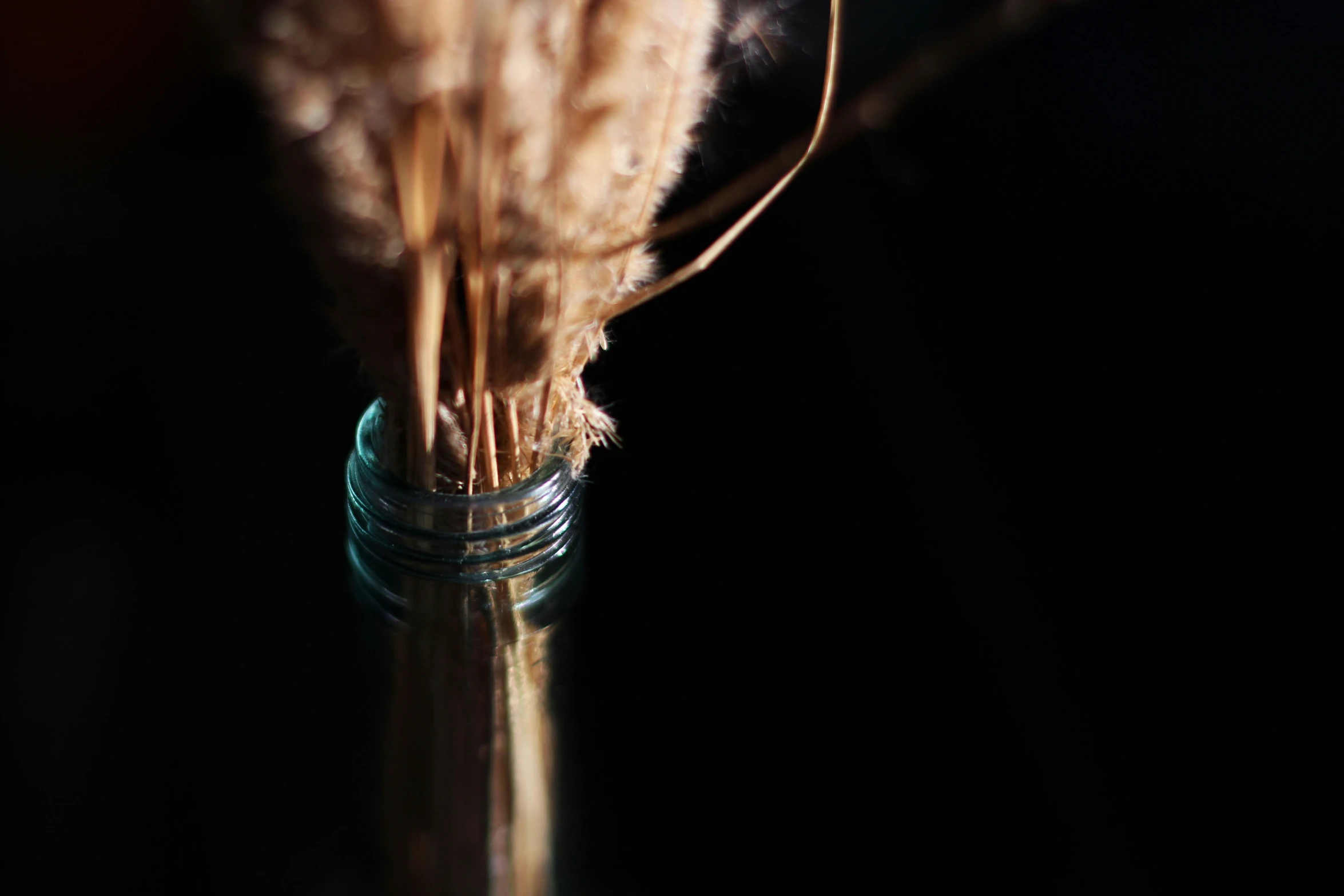 this is an image of some dry reeds in a mason jar