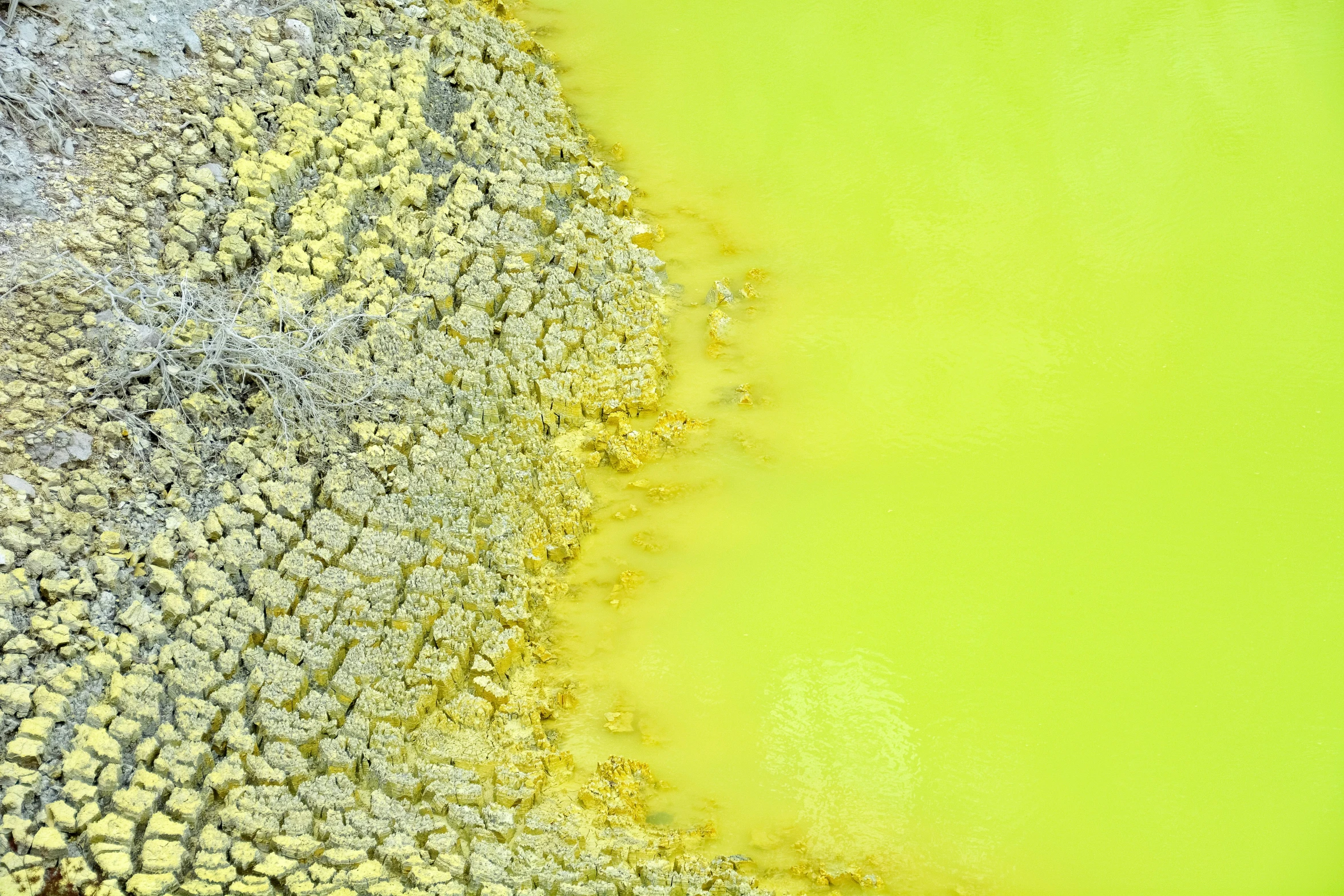 a large body of water filled with orange and yellow substance