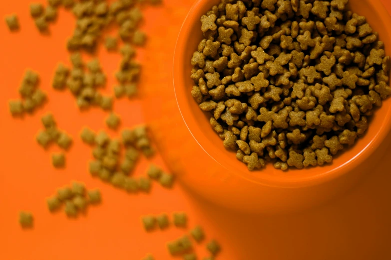 a small bowl filled with cat litter is shown