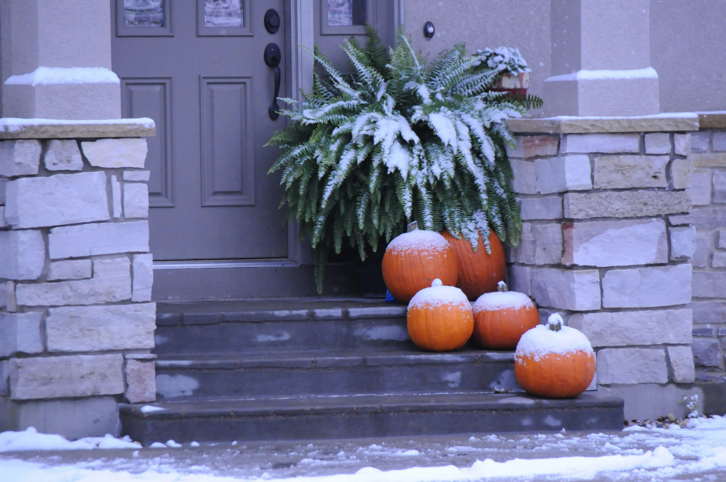 some very pretty pumpkins outside of a nice home