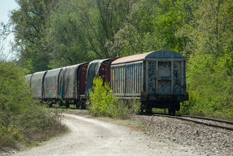 the train is on tracks that are overgrown and overgrown