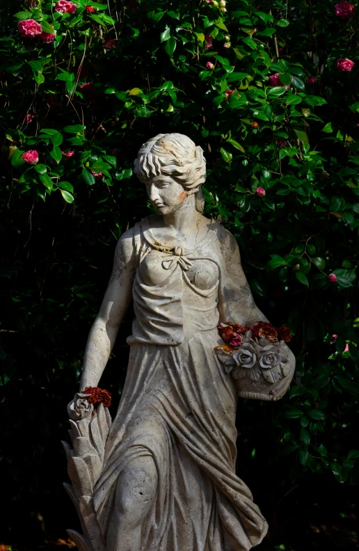 a statue of a woman in front of bushes