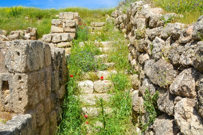 a path of rocks that goes through the grassy terrain