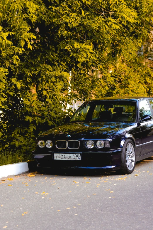 a black bmw is parked next to a lush green tree