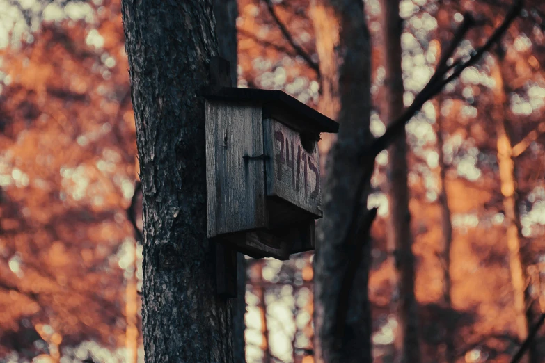 the birdhouse is hanging off the tree in the forest