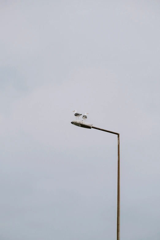 a pole that has a street light on top of it