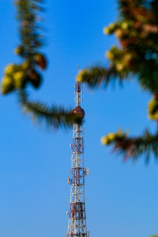 a phone tower that is next to a green tree