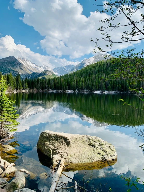 a body of water surrounded by forest and mountain