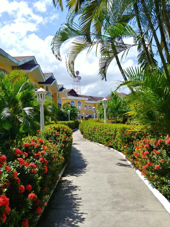 a long paved walkway with colorful flowers lining both sides of the pathway