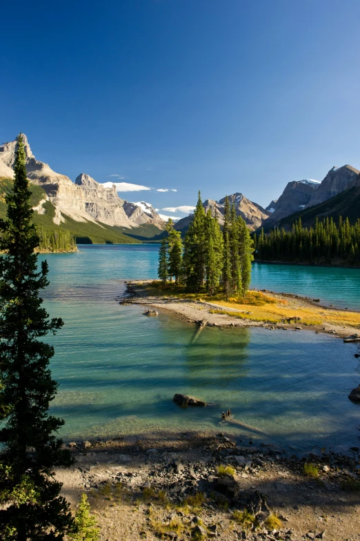 a picture of the clear water of a lake