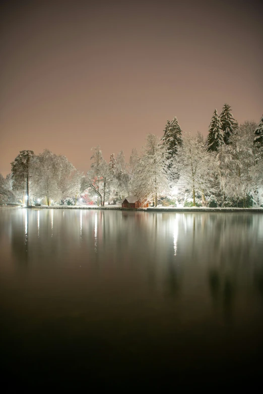 a large lake filled with lots of trees