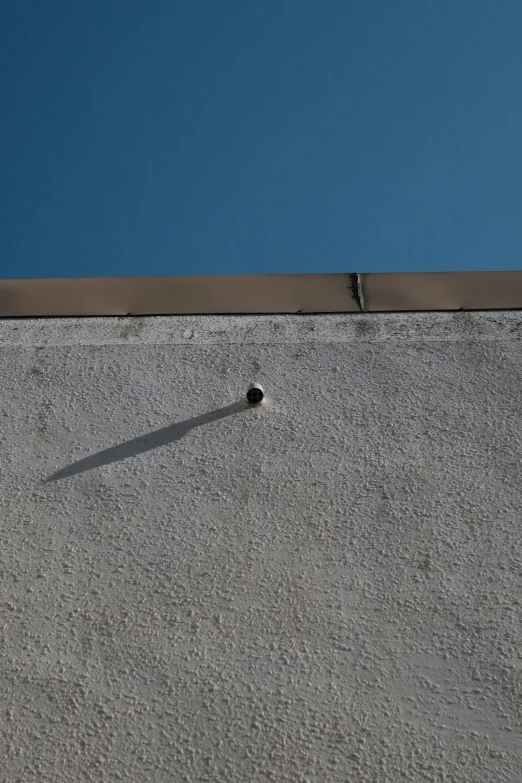 a bird is standing at the edge of a building